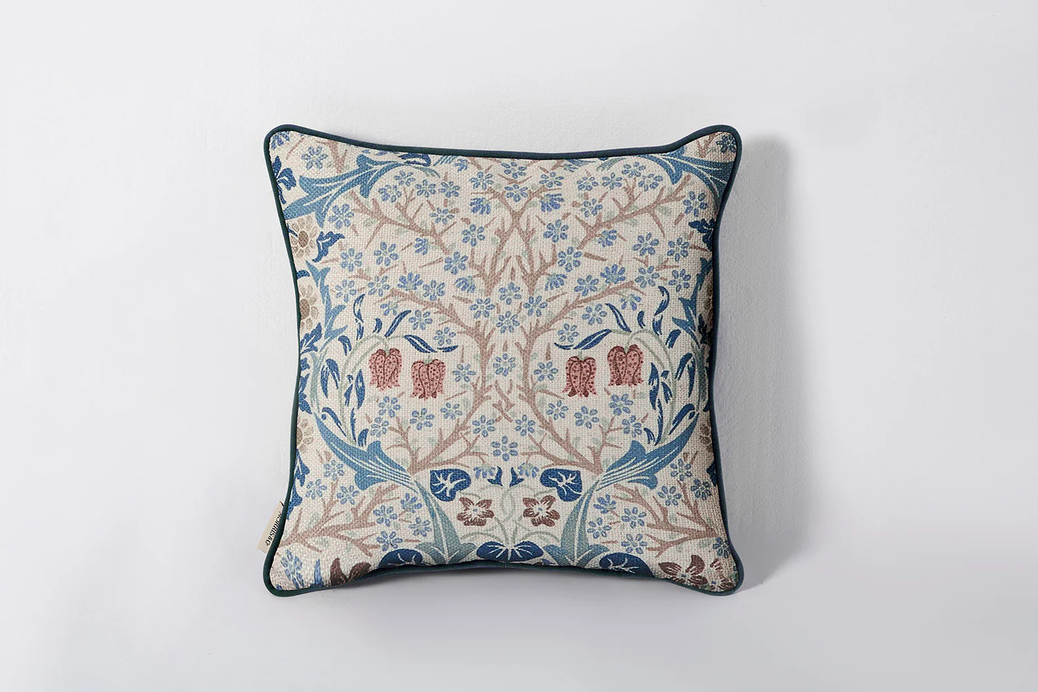 Cushion 01